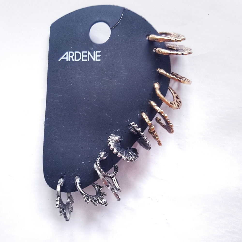 Ardene Brand NWT Small Hoops Earrings Set